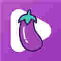 茄子app下载汅api免费下