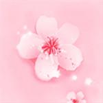 野花社区2019最新视频