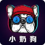 小奶狗app福引导